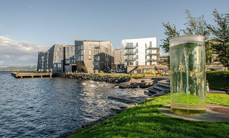 La oss få flere badeplasser i området mellom Sjøparken og Bryggerikaien, foreslår Federico Juàrez Perales (H).