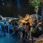 Dinosaurusene kommer3_Stavanger Oljemuseum